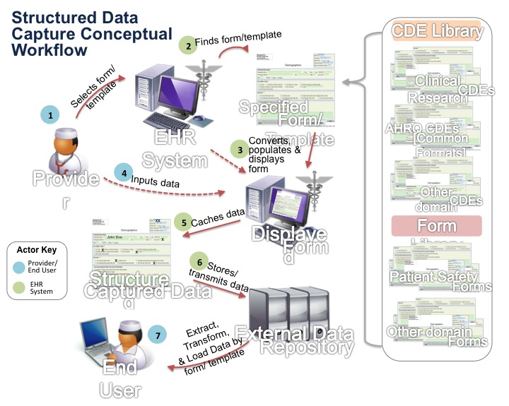 Diagram of Structured Data Conceptual Workflow