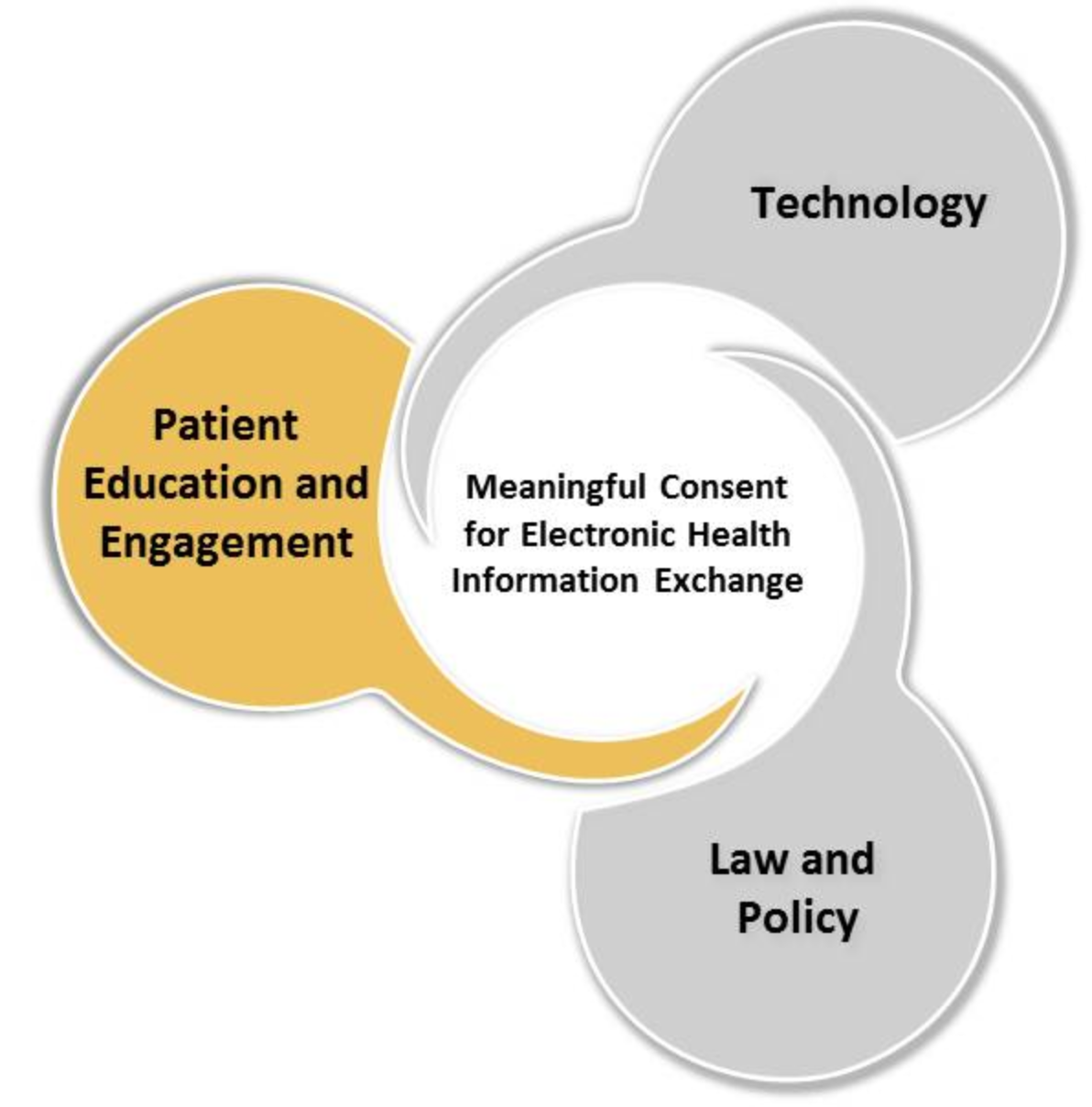 patient education and engagement